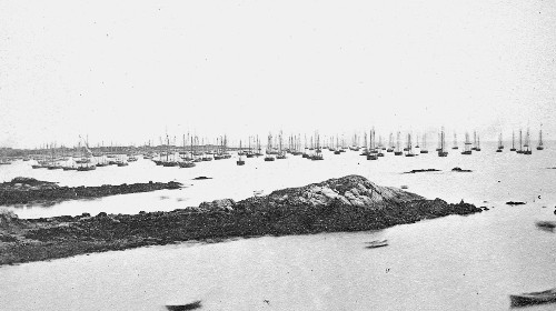 The Mackerel fleet, 1860s